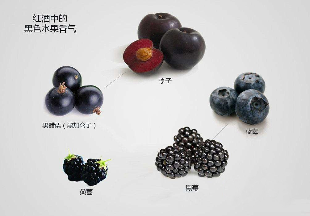 开红酒加盟店必学的经营手段 开红酒加盟店必学的经营手段