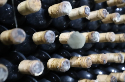 米列什蒂·米茨酒庄 | 吉尼斯世界纪录酒庄 米列什蒂·米茨酒庄 | 吉尼斯世界纪录酒庄