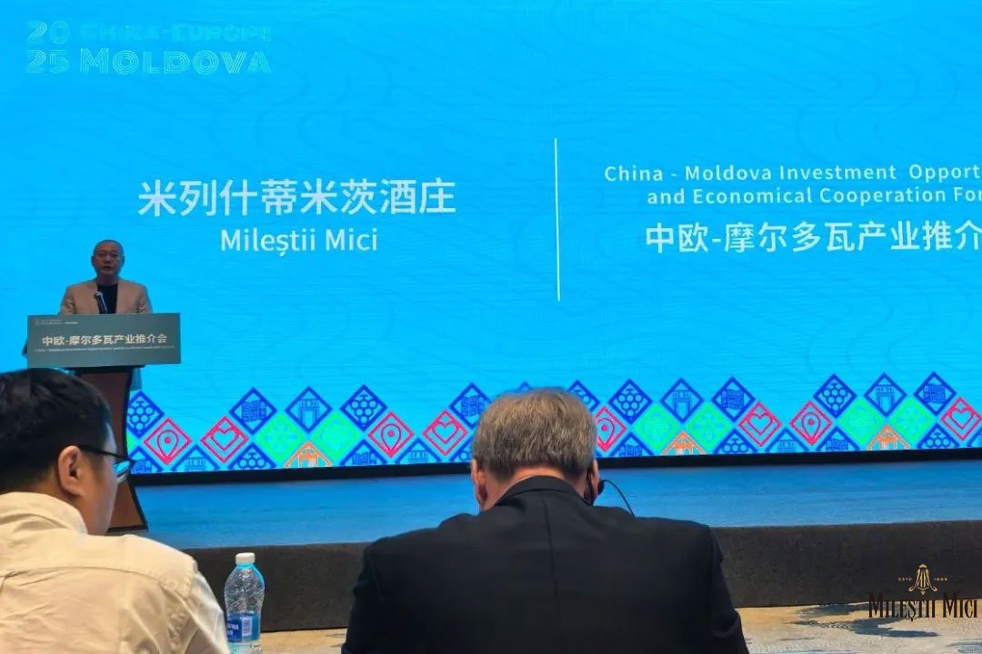 米茨酒庄的丝路之约：东欧佳酿邂逅长安
