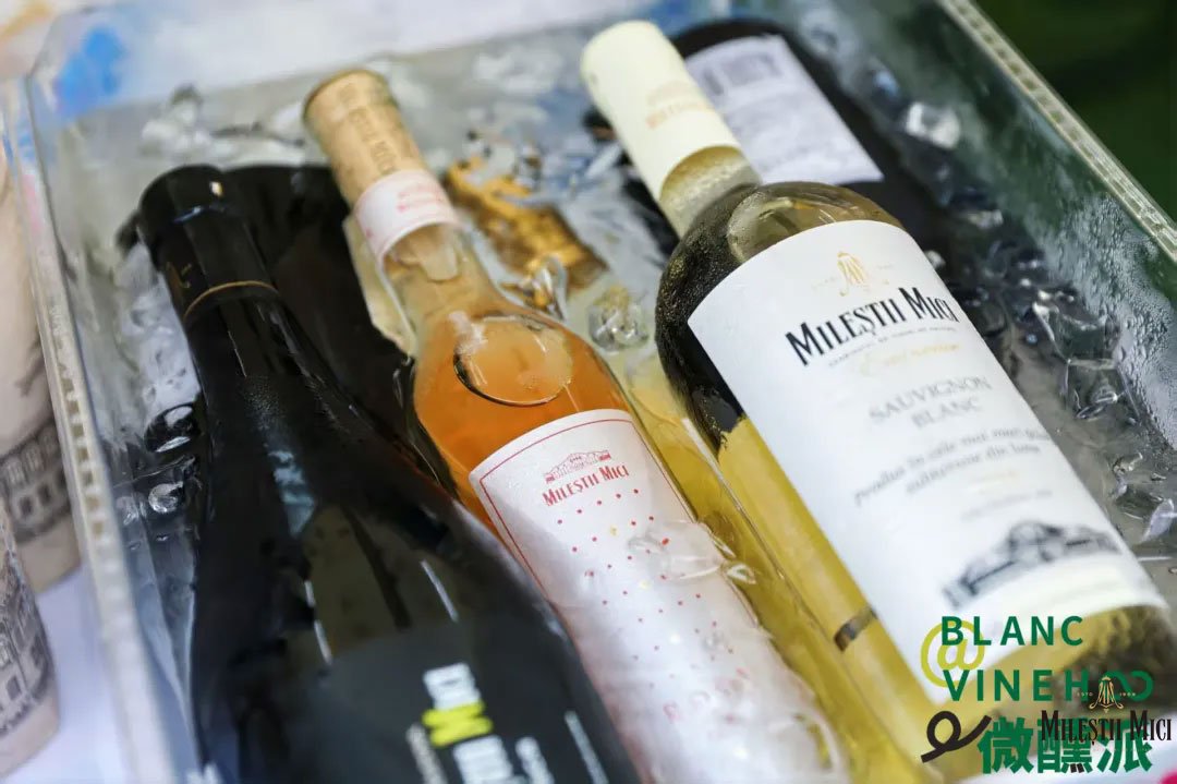 米茨酒庄外滩微醺记：举杯畅饮，共赴夏日狂欢