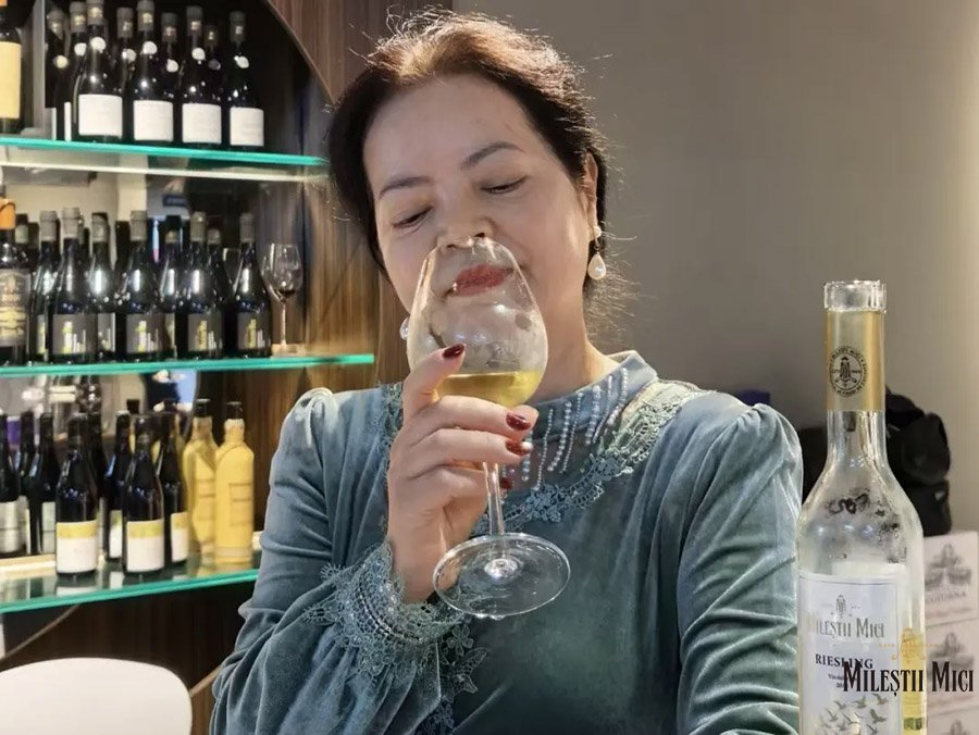 侨博高光时刻，见证米茨酒庄非凡风土